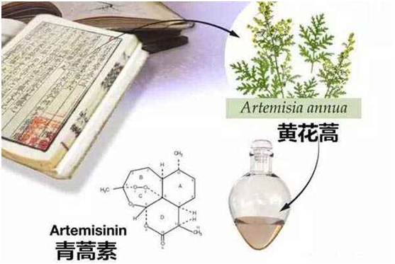 爱游戏ayx平台（China）官方网站,：向中医药看齐，与世界共享中医药文化(图1)